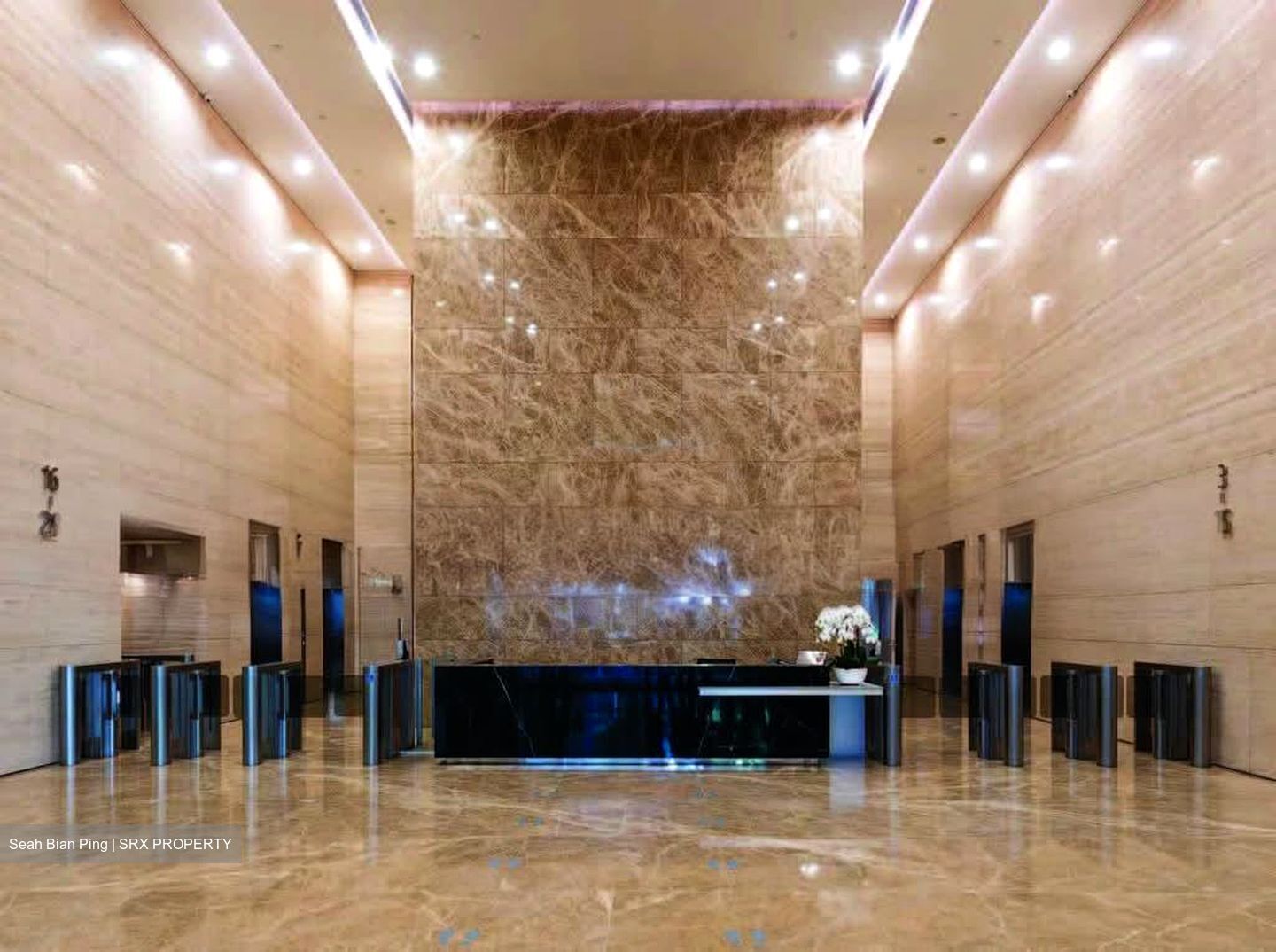 PLUS (D1), Office #622058231